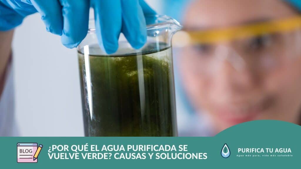 Cientifica analizando porque el agua purificada se pone verde